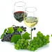 Viticulture & Enology